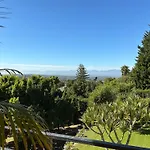 B Shocked Manor - Lux Suites